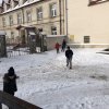 Opłatek